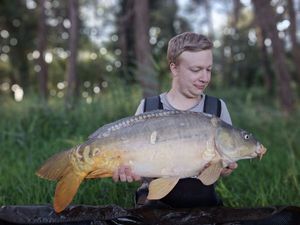 Mirror Carp
