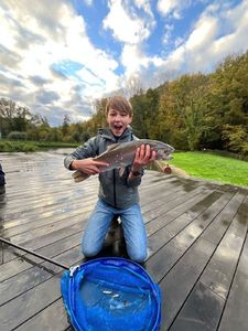 Rainbow Trout