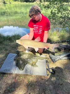 Grass Carp