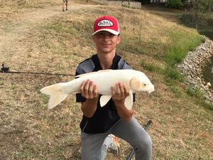 Koï Fish