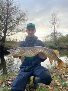 Northern Pike