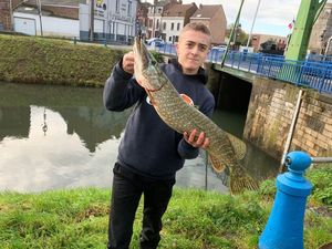 Northern Pike