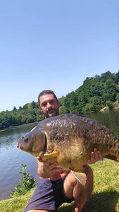 Mirror Carp