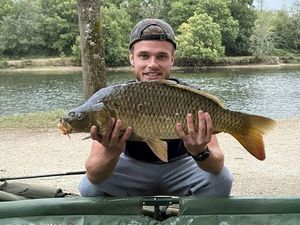 Common Carp