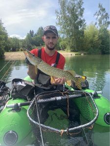 Northern Pike