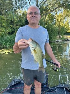Smallmouth Bass