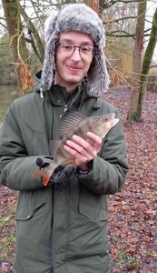 European Perch
