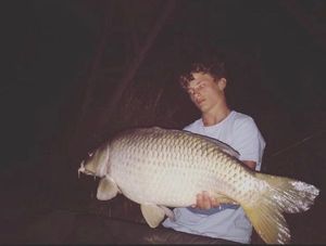 Common Carp