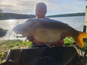 Mirror Carp