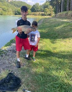 Mirror Carp