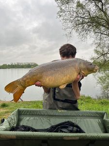 Mirror Carp