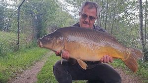 Mirror Carp