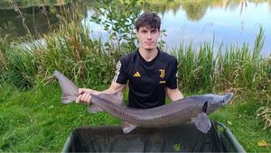 Sturgeon