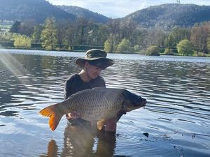 Common Carp