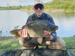 Common Carp
