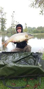 Common Carp