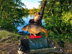 Mirror Carp