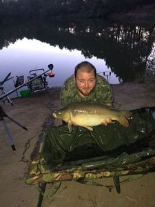 Mirror Carp