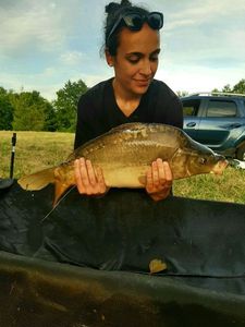 Mirror Carp