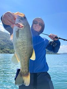Largemouth Bass