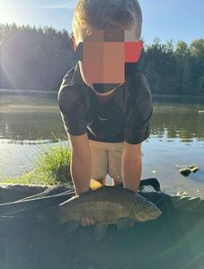 Tench