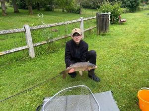 Common Carp