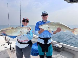Cassava Croaker