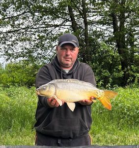 Mirror Carp