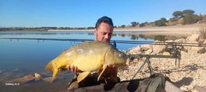 Mirror Carp