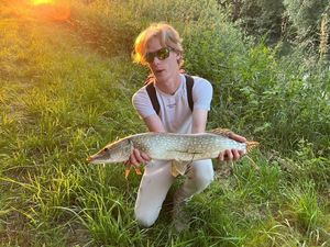 Northern Pike