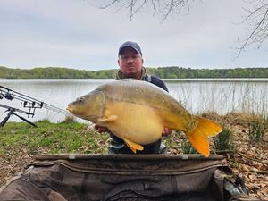 Mirror Carp