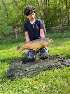 Mirror Carp