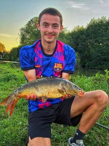 Mirror Carp