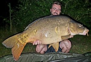 Mirror Carp