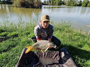 Mirror Carp