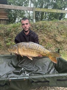 Mirror Carp