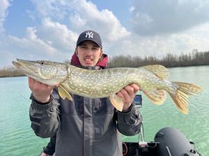 Northern Pike
