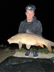 Mirror Carp