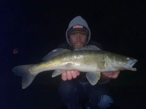 Zander