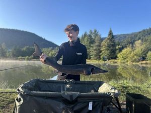 Sturgeon