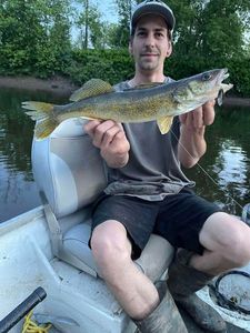 Walleye