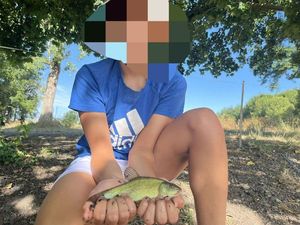 Tench
