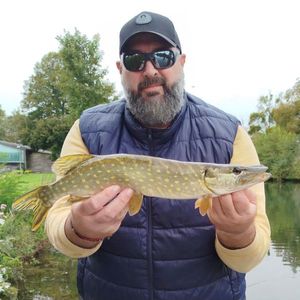 Northern Pike