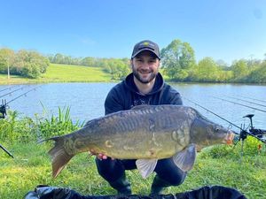 Mirror Carp