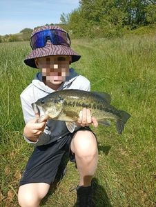 Largemouth Bass