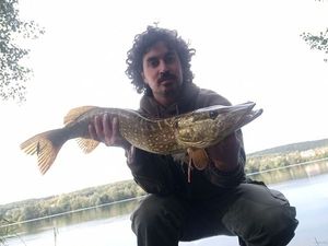 Northern Pike
