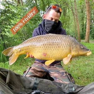 Common Carp