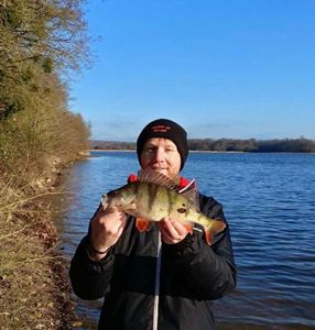European Perch