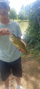 Largemouth Bass