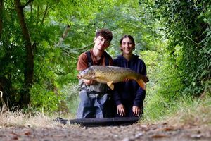 Common Carp